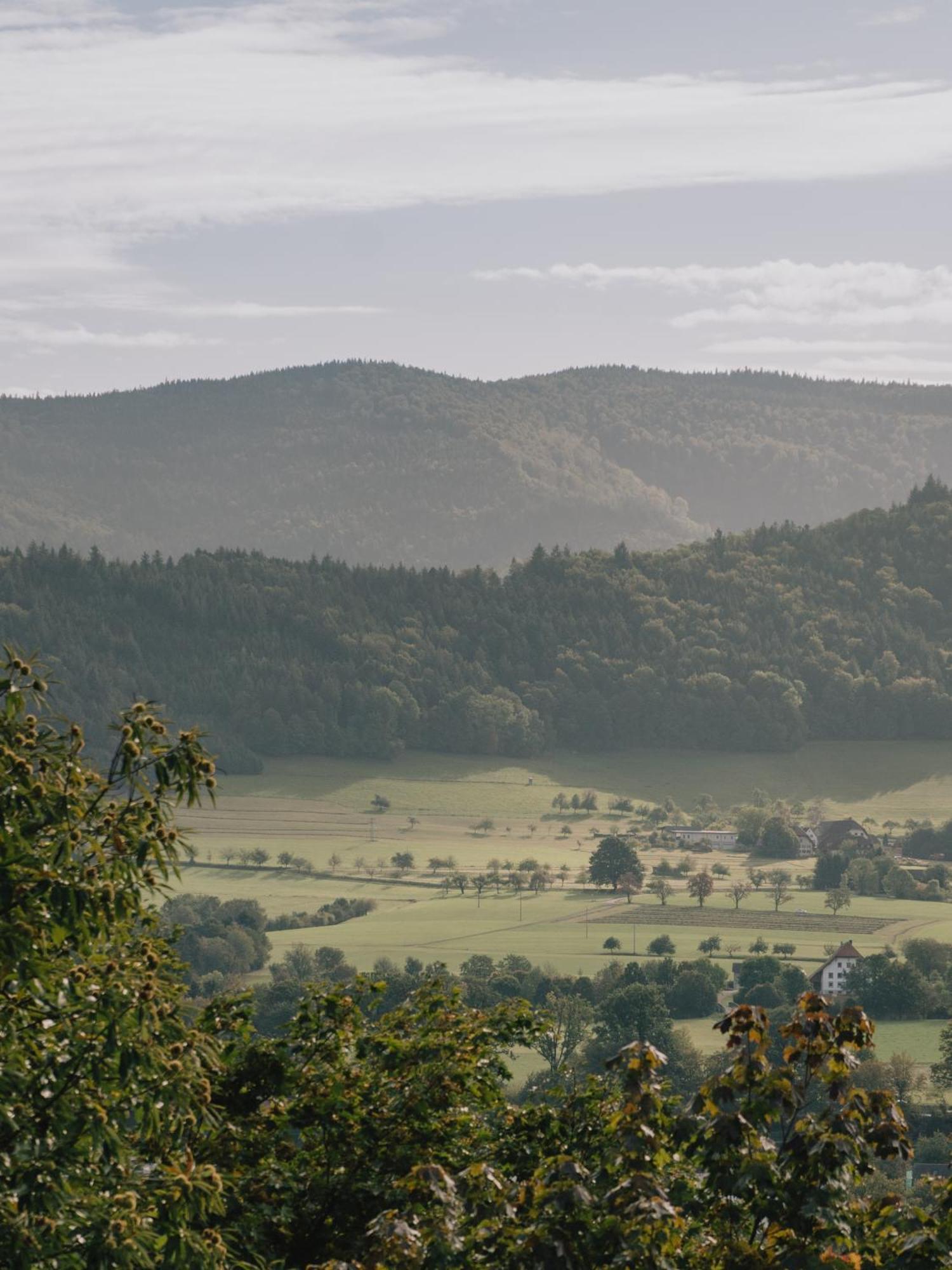 Artbau Designhotel * Waldkirch